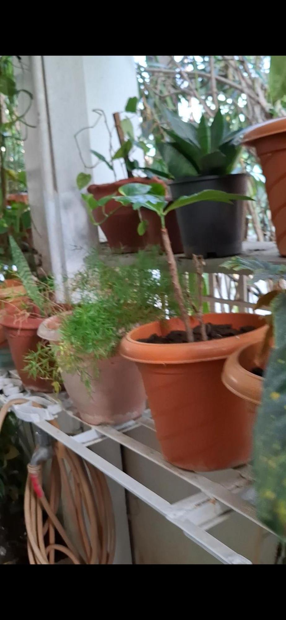 2Bhk Chandra Jyoti Villa Nit Garden Nagpur Zewnętrze zdjęcie
