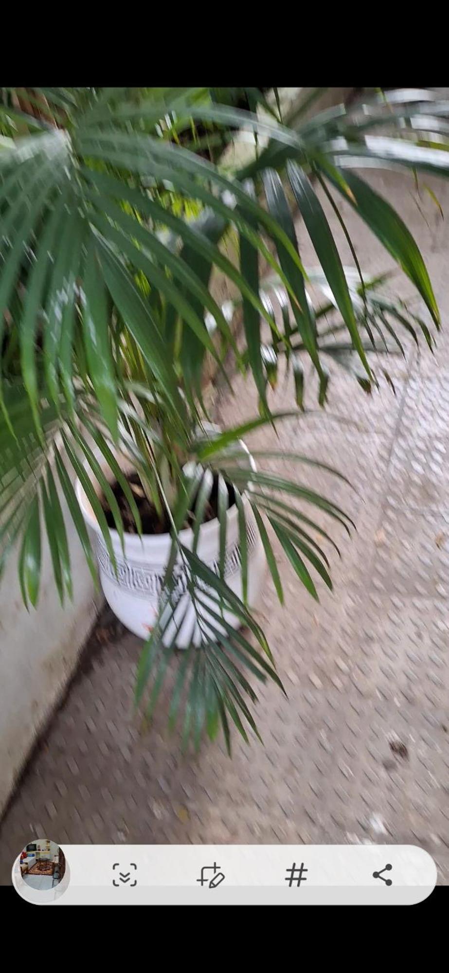 2Bhk Chandra Jyoti Villa Nit Garden Nagpur Zewnętrze zdjęcie