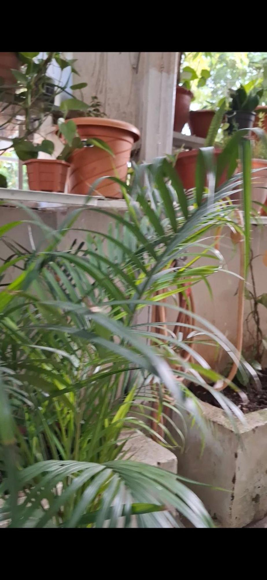 2Bhk Chandra Jyoti Villa Nit Garden Nagpur Zewnętrze zdjęcie