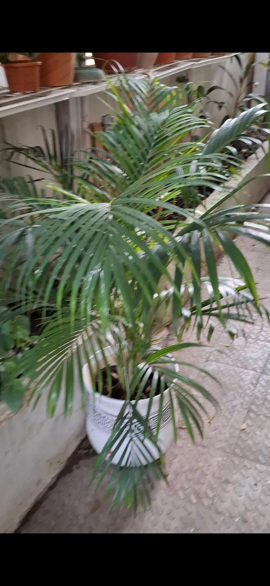 2Bhk Chandra Jyoti Villa Nit Garden Nagpur Zewnętrze zdjęcie