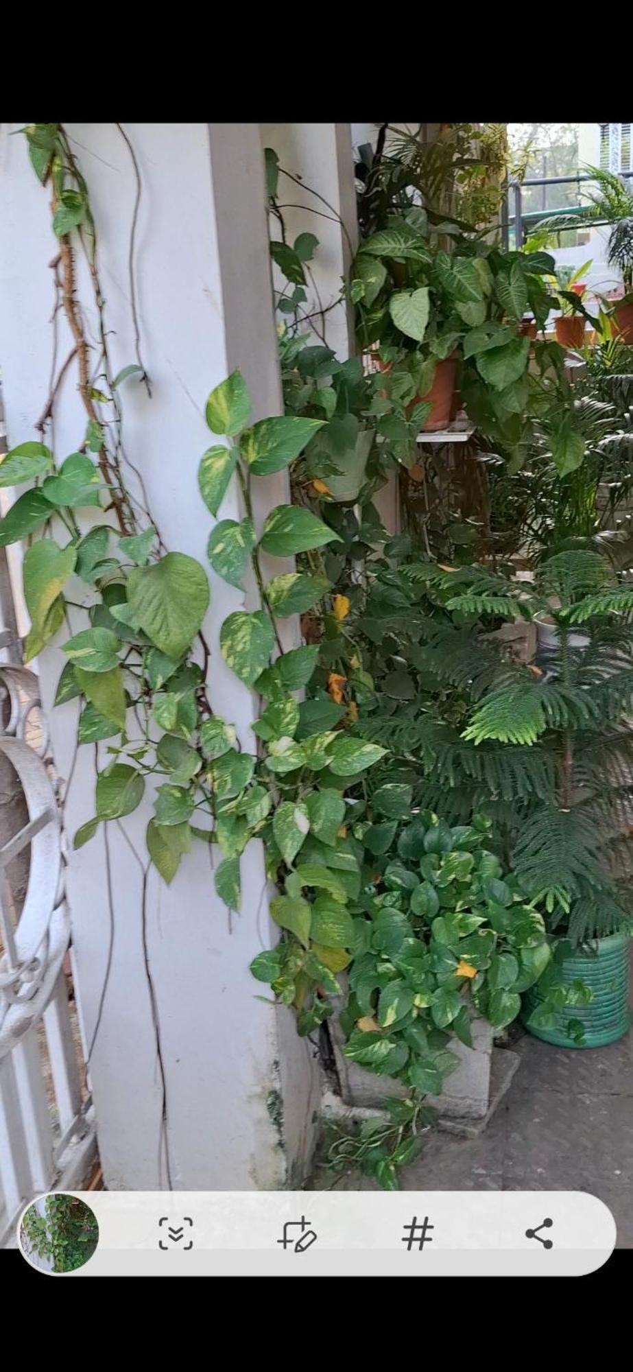2Bhk Chandra Jyoti Villa Nit Garden Nagpur Zewnętrze zdjęcie