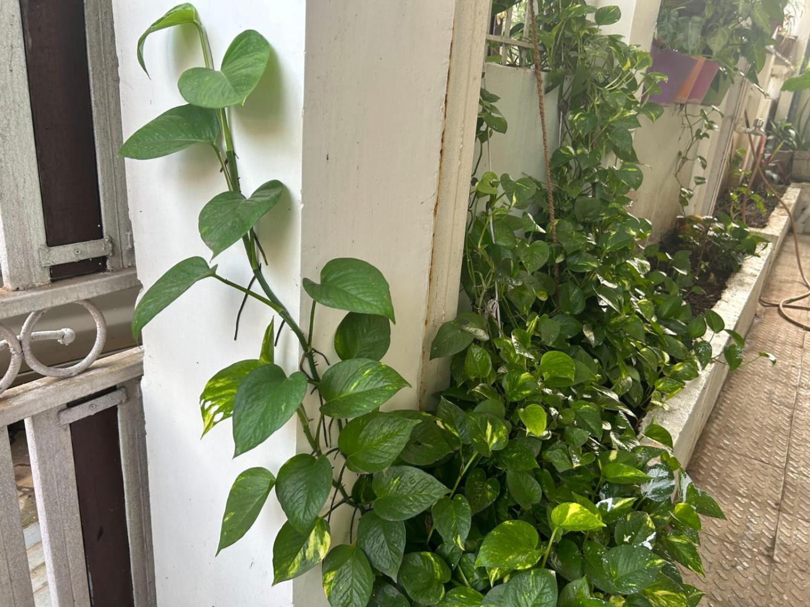 2Bhk Chandra Jyoti Villa Nit Garden Nagpur Zewnętrze zdjęcie
