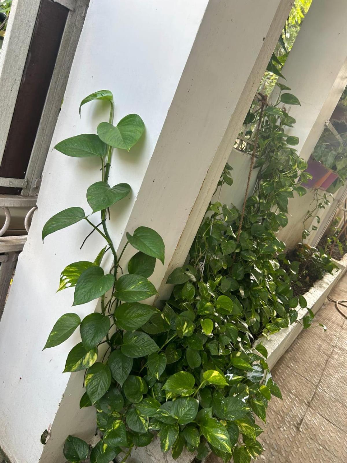2Bhk Chandra Jyoti Villa Nit Garden Nagpur Zewnętrze zdjęcie